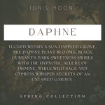 Soy Candle Clean Fragrance dark currant sage jasmine cypress