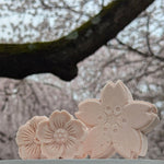 All Natural Sakura Bath Bomb Cherry Blossom Bath Bombs