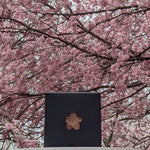 sakura himalayan salt scrub bar cherry blossom